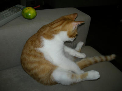 DSCN2922.JPG