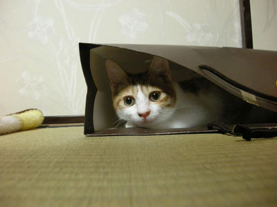 DSCN2957.JPG