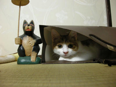 DSCN2959.JPG