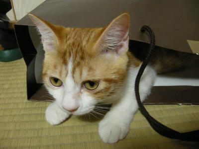 DSCN2979.JPG