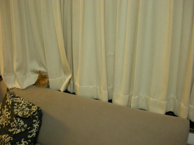 DSCN2950.JPG