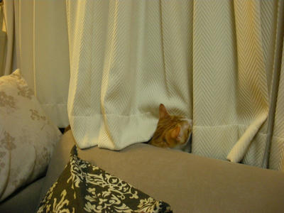 DSCN2949.JPG