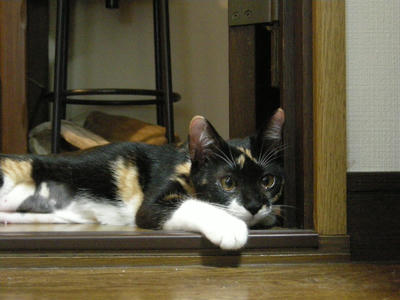 DSCN3053.JPG