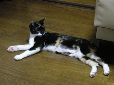 DSCN3045.JPG