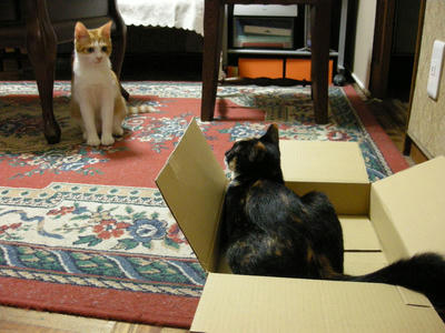 DSCN3103.JPG