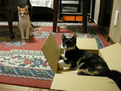 DSCN3104.JPG