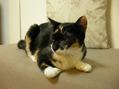 DSCN3165.JPG
