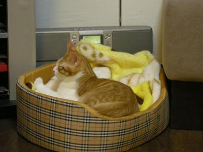 DSCN3162.JPG