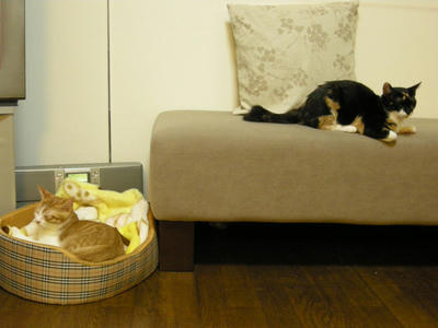 DSCN3157.JPG
