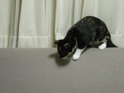 DSCN3292.JPG