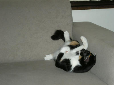 DSCN3293.JPG