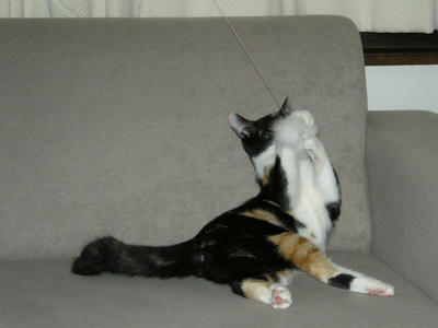 DSCN3295.JPG