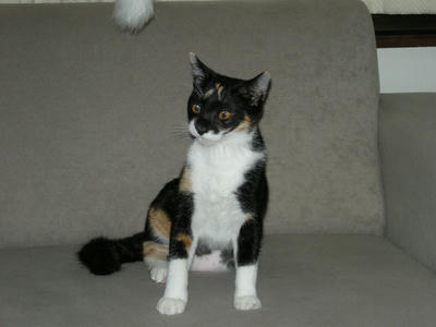 DSCN3297.JPG