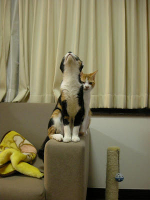 DSCN3303.JPG