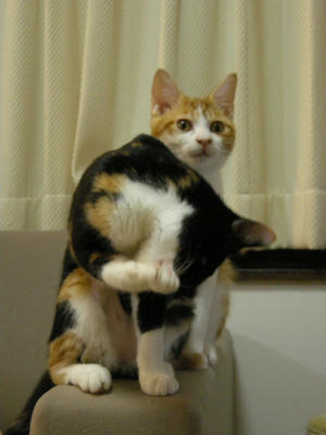 DSCN3304.JPG