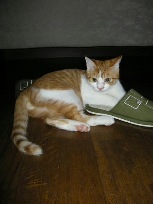DSCN3336.JPG