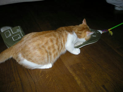 DSCN3338.JPG