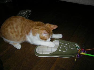 DSCN3340.JPG