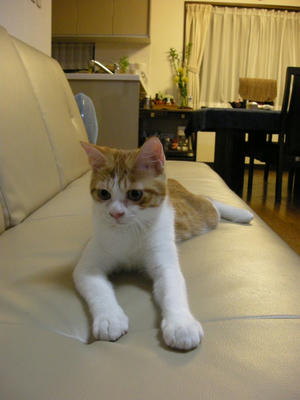 DSCN3278.JPG