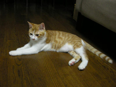 DSCN3282.JPG