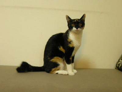 DSCN3311.JPG