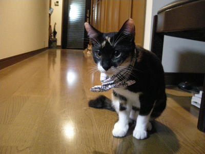 DSCN3392.JPG