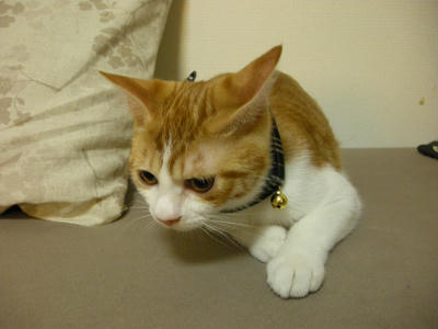 DSCN3388.JPG