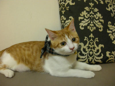 DSCN3384.JPG