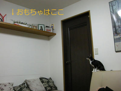 eb47386c.jpg