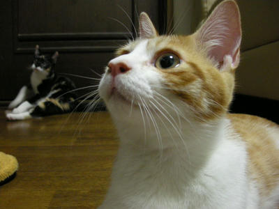 DSCN3562.JPG