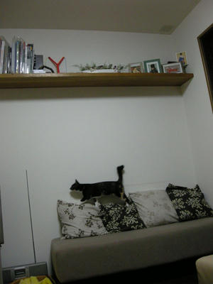 DSCN3533.JPG