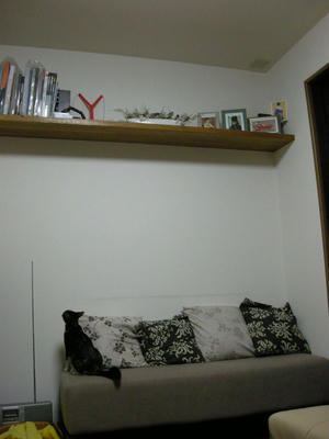 DSCN3534.JPG