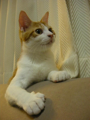 DSCN3469.JPG