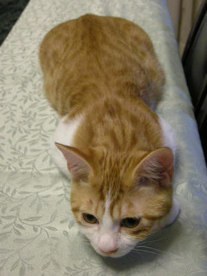 DSCN3456.JPG