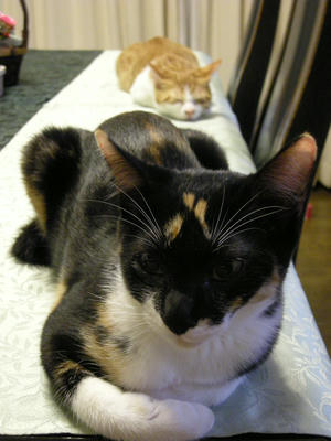 DSCN3455.JPG