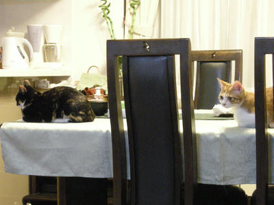DSCN3436.JPG