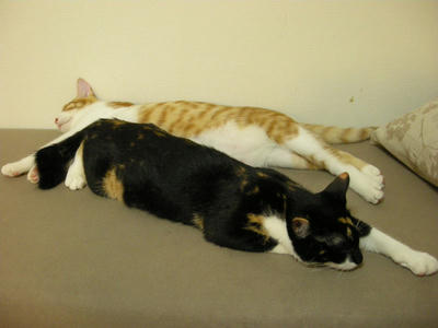 DSCN3611.JPG