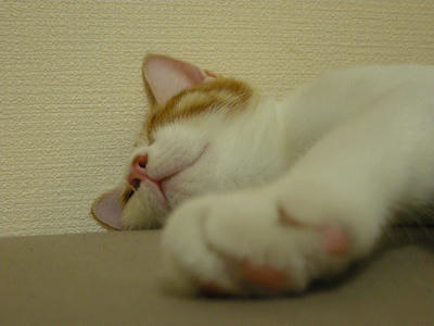DSCN3600.JPG