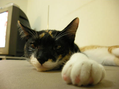 DSCN3608.JPG