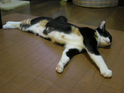DSCN3624.JPG