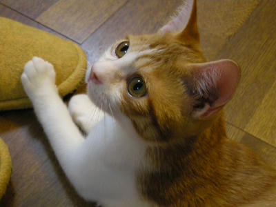 DSCN3649.JPG