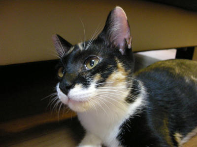 DSCN3637.JPG
