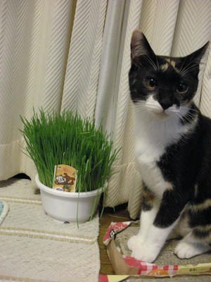 DSCN3669.JPG