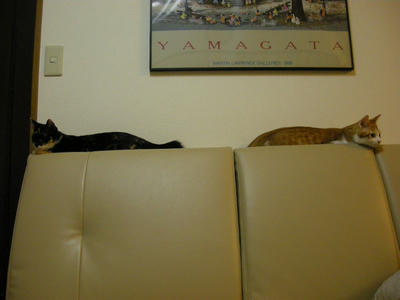 DSCN3686.JPG