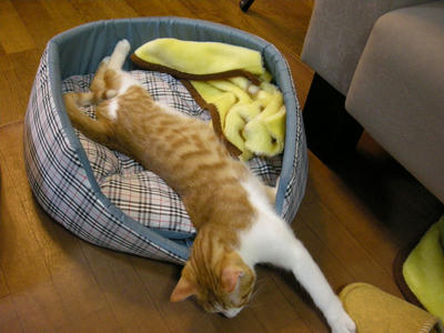DSCN3695.JPG