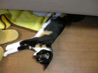 DSCN3696.JPG