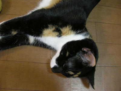 DSCN3693.JPG