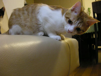 DSCN3708.JPG