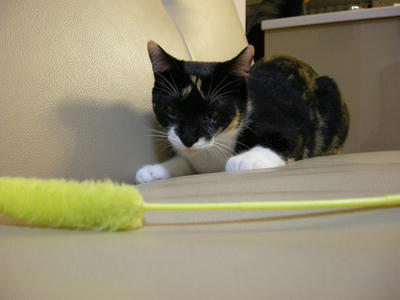 DSCN3705.JPG