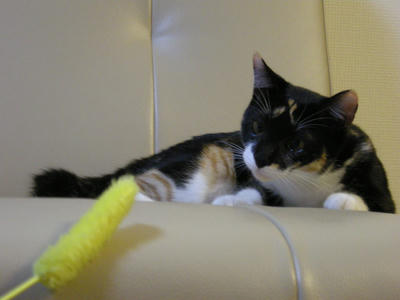DSCN3712.JPG
